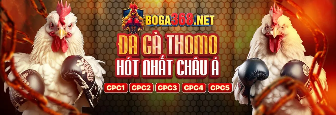 Hình ảnh sang trọng của Câu lạc bộ VIP acb8vip