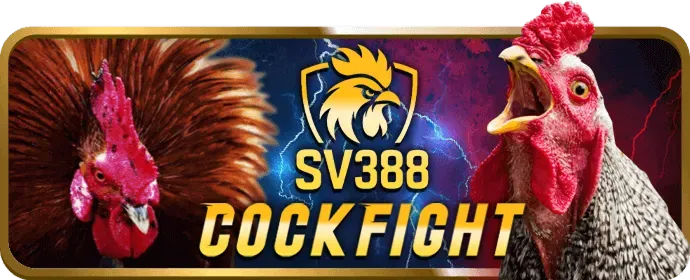 Hình ảnh tổng hợp nhiều môn thể thao khác nhau như eSports và đua xe, thể hiện sự đa dạng cá cược tại acb8vip